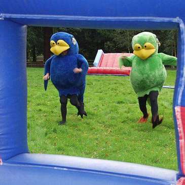 Bird Cage Rage