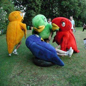 Bird Cage Rage