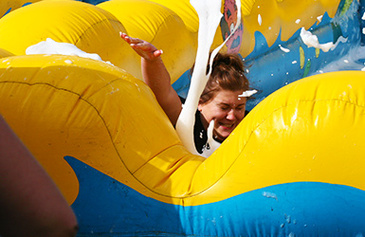 Big Knockout Weekend