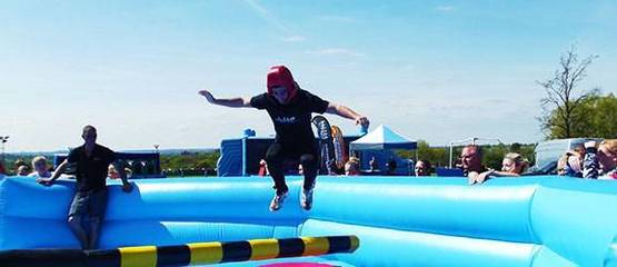 Totally Wiped Out Gallery